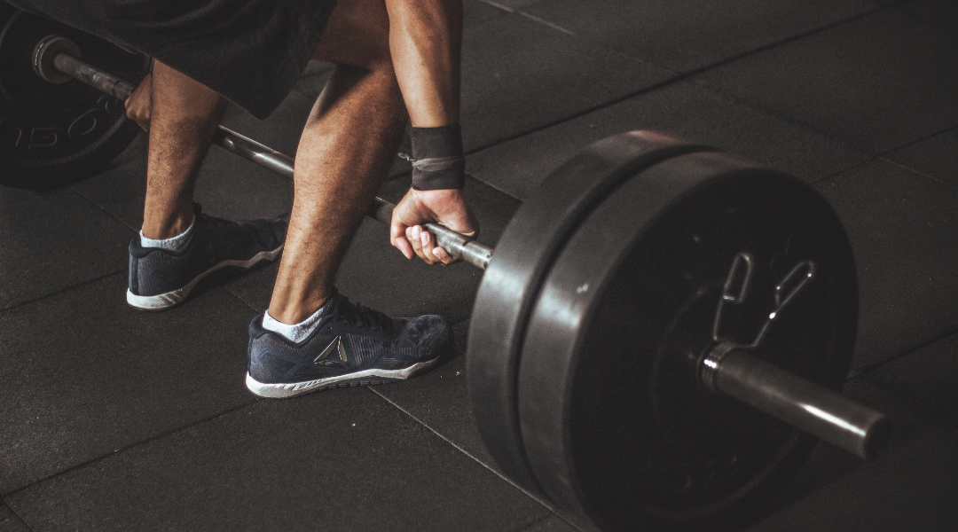 guia-entrenamiento
